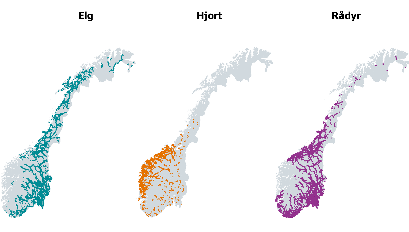 Fordeling av påkjørsler for elg, hjort og rådyr i Norge. Data fra Hjorteviltregisteret i jaktårene 2012/2013 – 2016/2017.  Fordeling av påkjørsler for elg, hjort og rådyr i Norge. Data fra Hjorteviltregisteret i jaktårene 2012/2013 – 2016/2017.